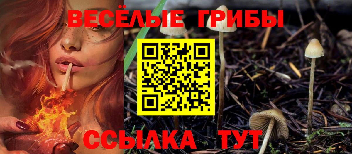 Псков  Галлюциногенные грибы прущие грибы  Вход с VPN 